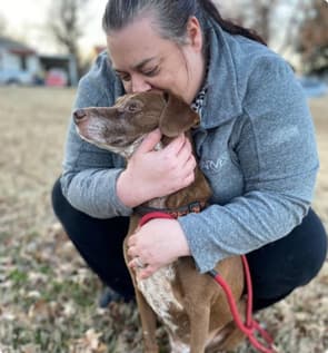 End of life geriatric pet